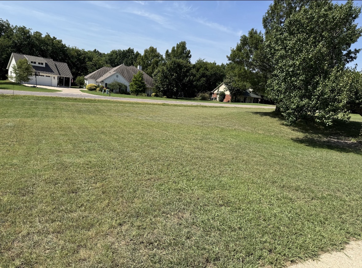 Lawn after