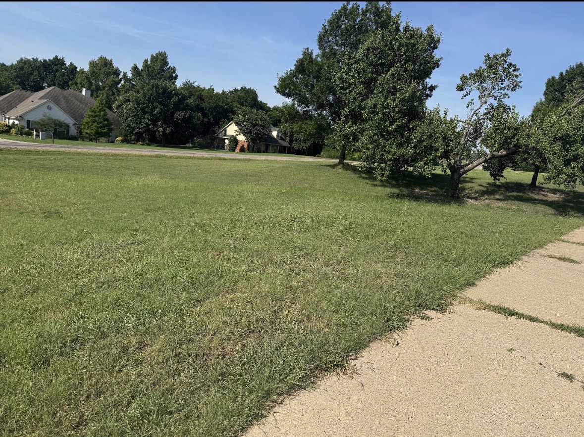 Lawn before